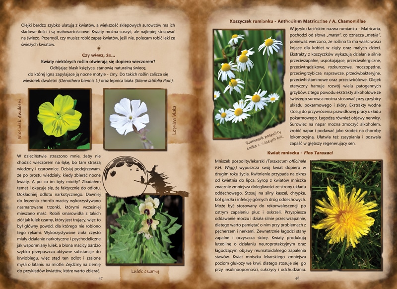 Książka zielarska zioła i ziołolecznictwo przykładowa strona 1