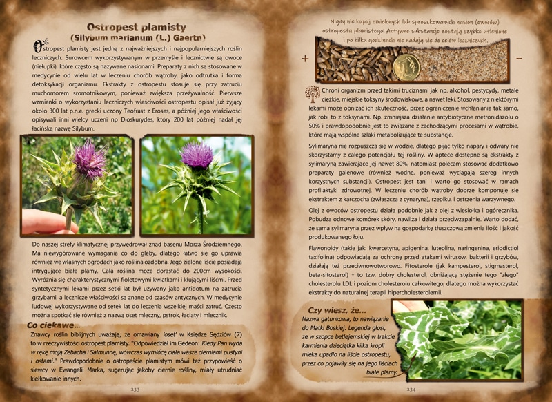Książka zielarska zioła i ziołolecznictwo przykładowa strona 2